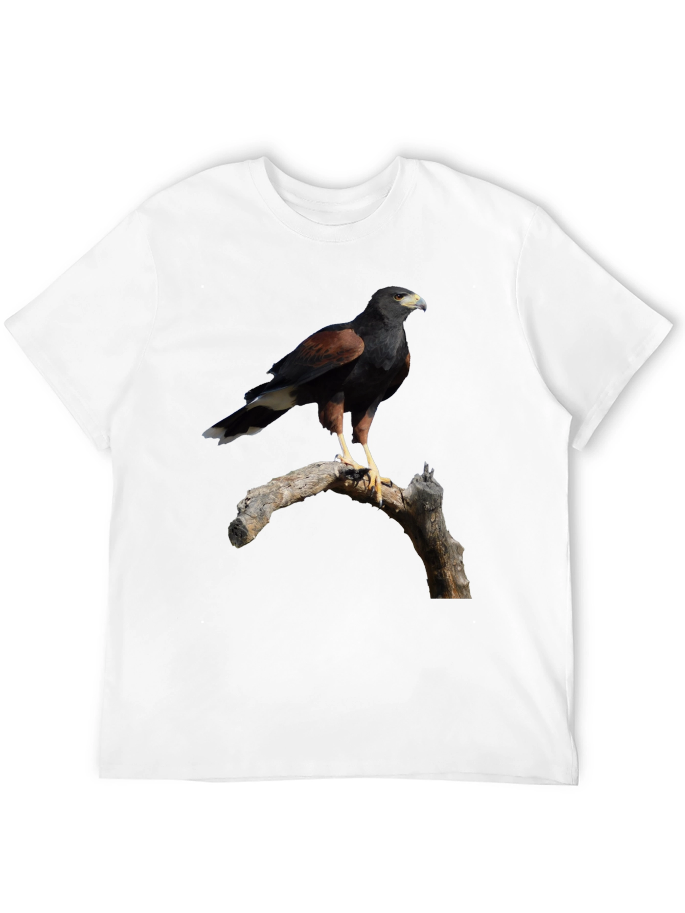 Harris Hawk Bird Black T-Shirt