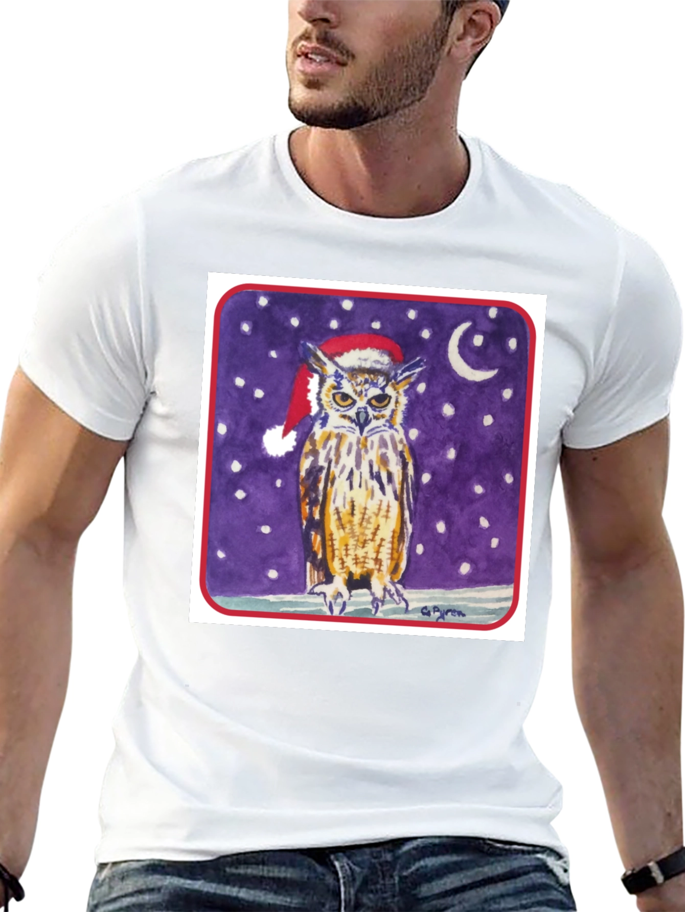 Owl in Santa Hat Graphic Tee