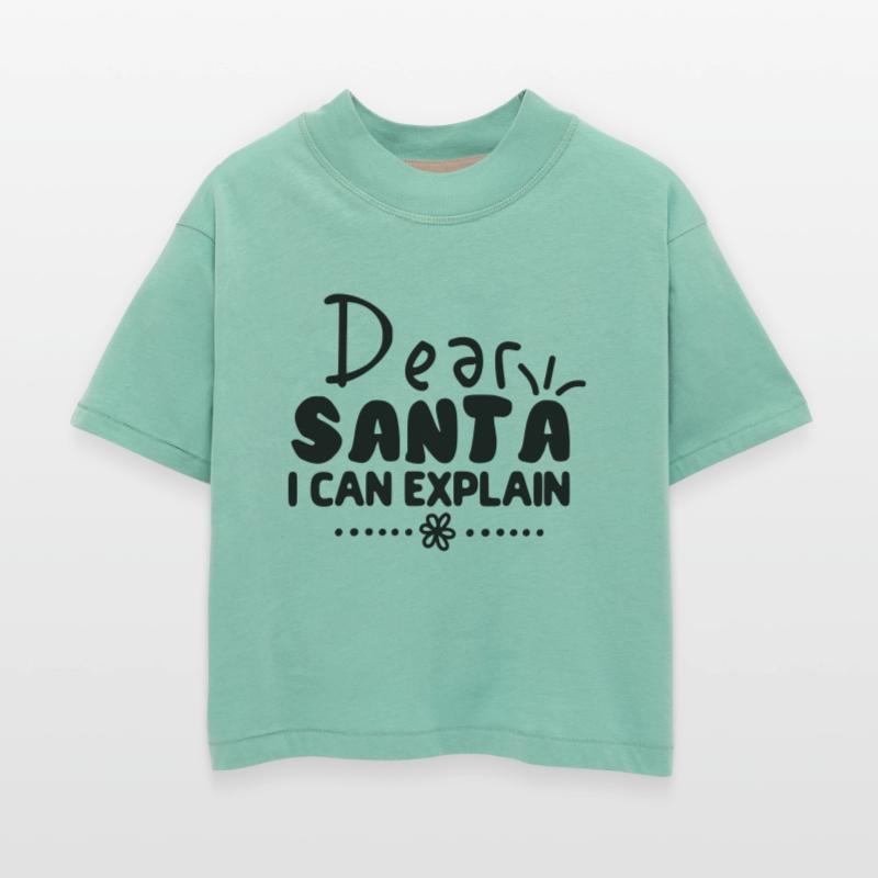 Dear Santa I Can Explain