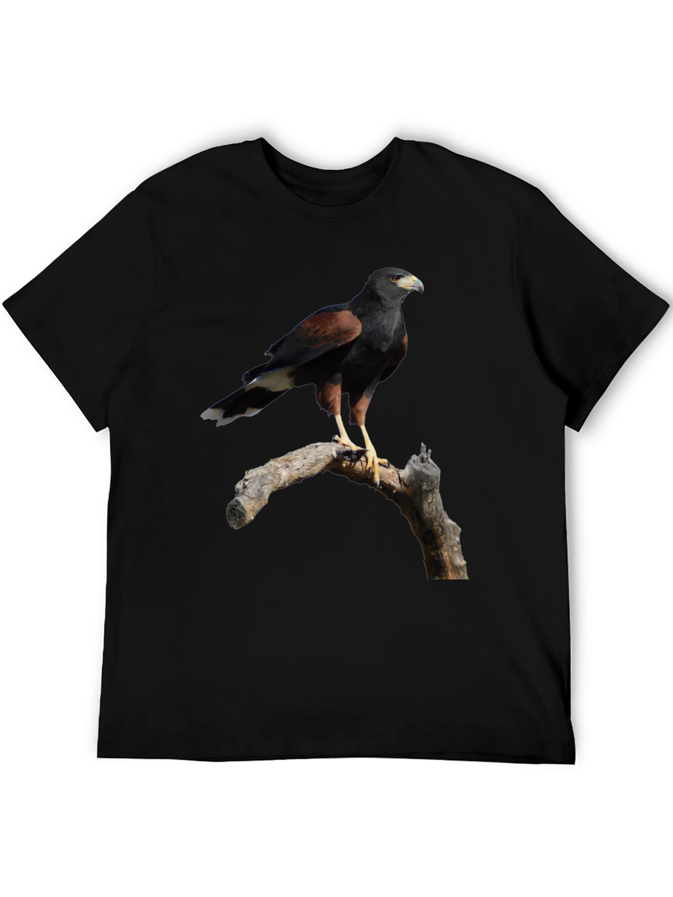 Harris Hawk Bird Black T-Shirt