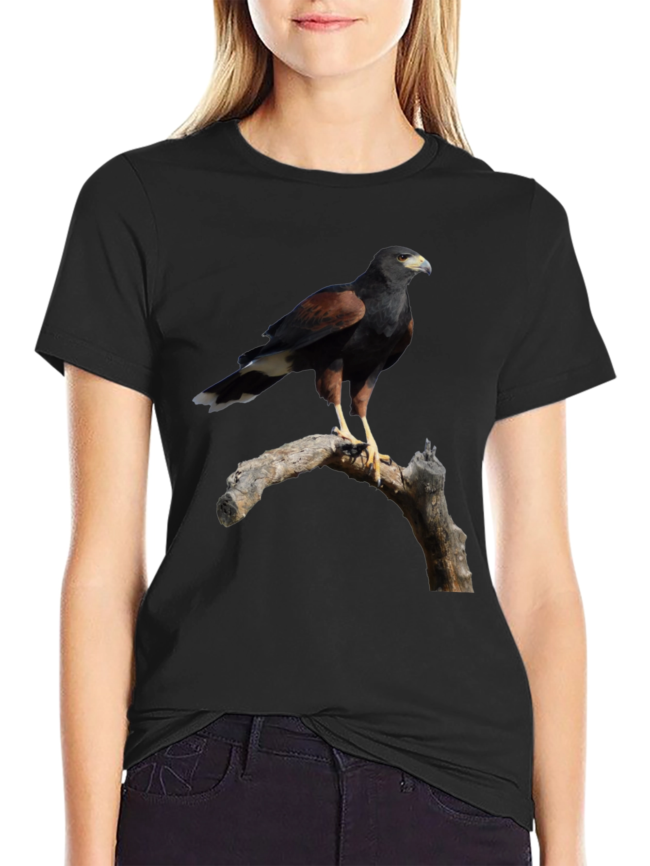Harris Hawk Bird Black T-Shirt