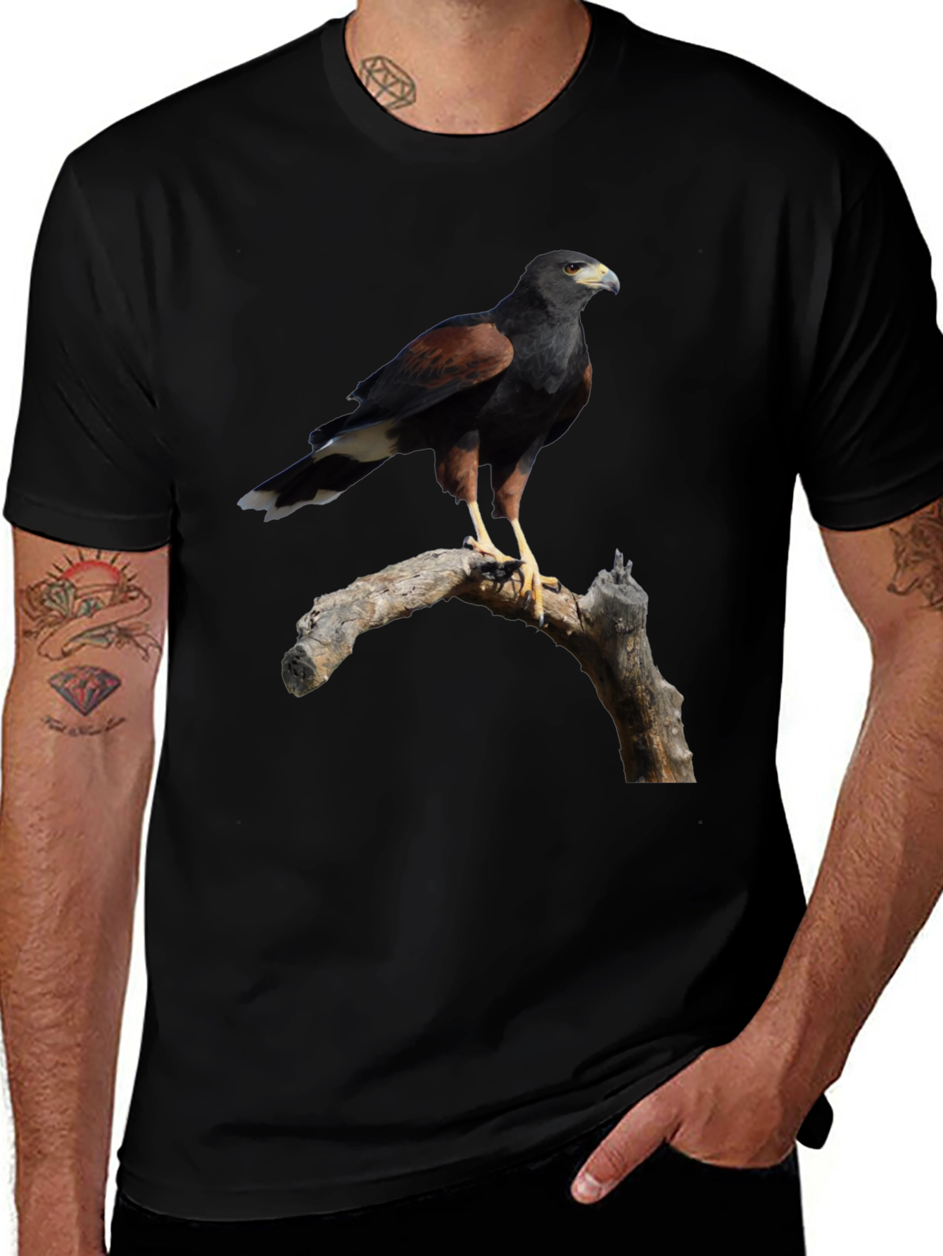 Harris Hawk Bird Black T-Shirt