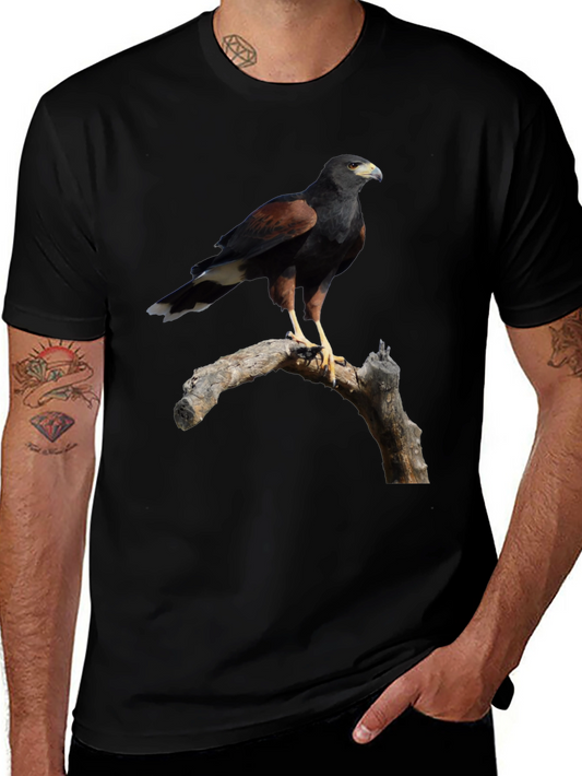 Harris Hawk Bird Black T-Shirt