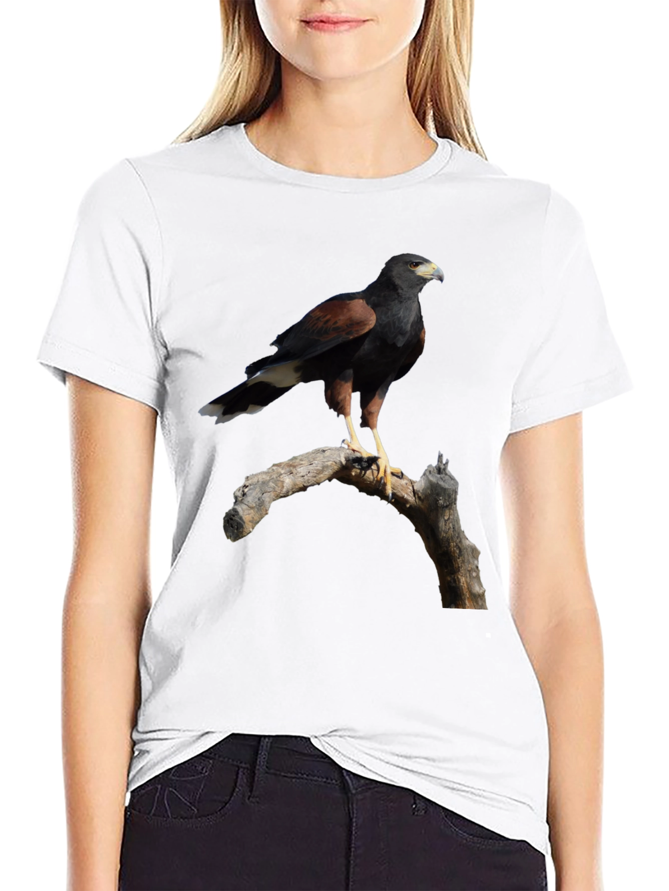 Harris Hawk Bird Black T-Shirt