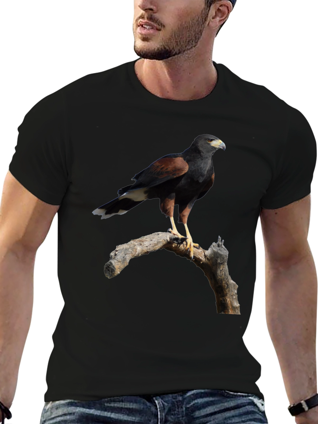 Harris Hawk Bird Black T-Shirt