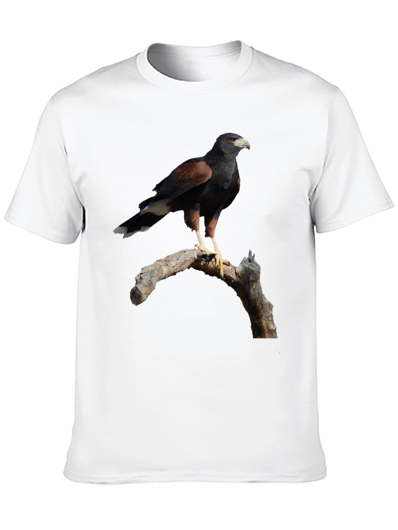 Harris Hawk Bird Black T-Shirt