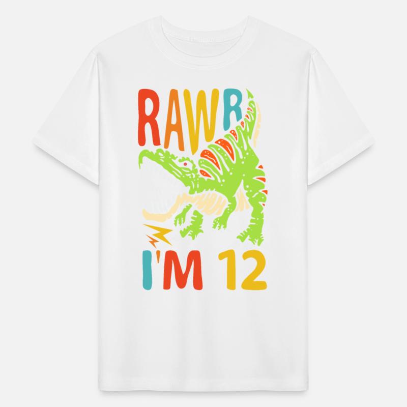 12th Birthday Dinosaur T Rex Rawr I'm 12 For Boys