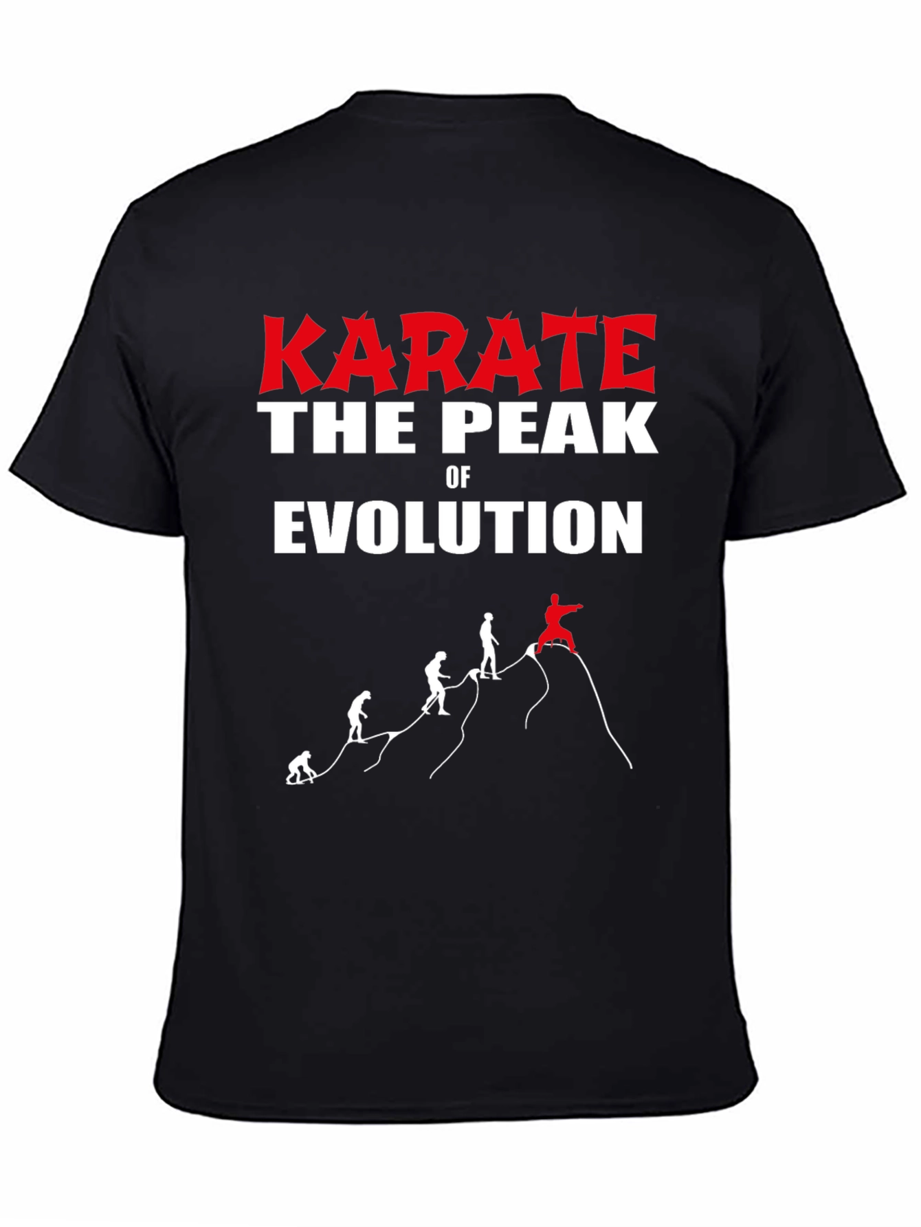 Karate Evolution Black Graphic T-Shirt