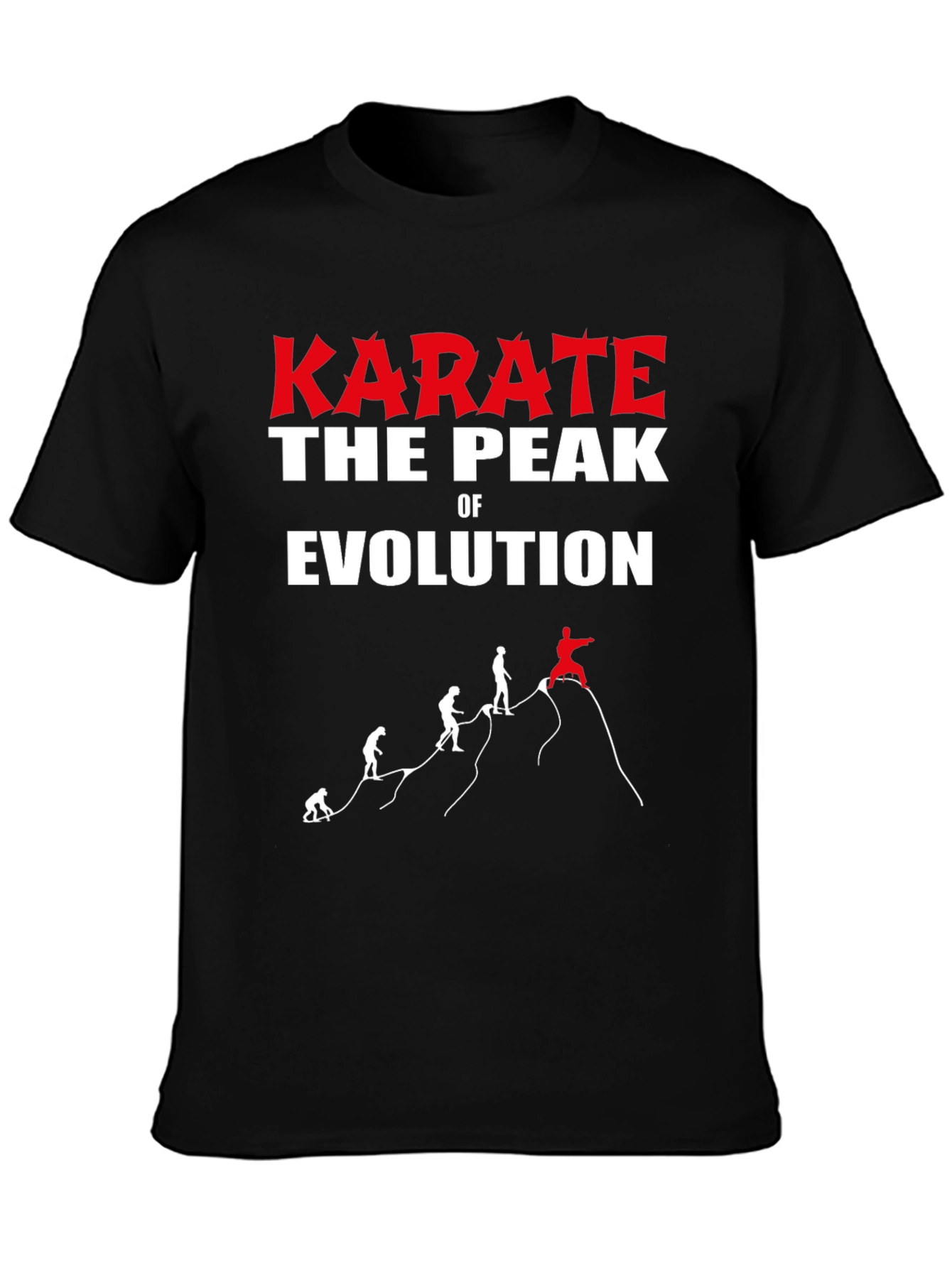 Karate Evolution Black Graphic T-Shirt