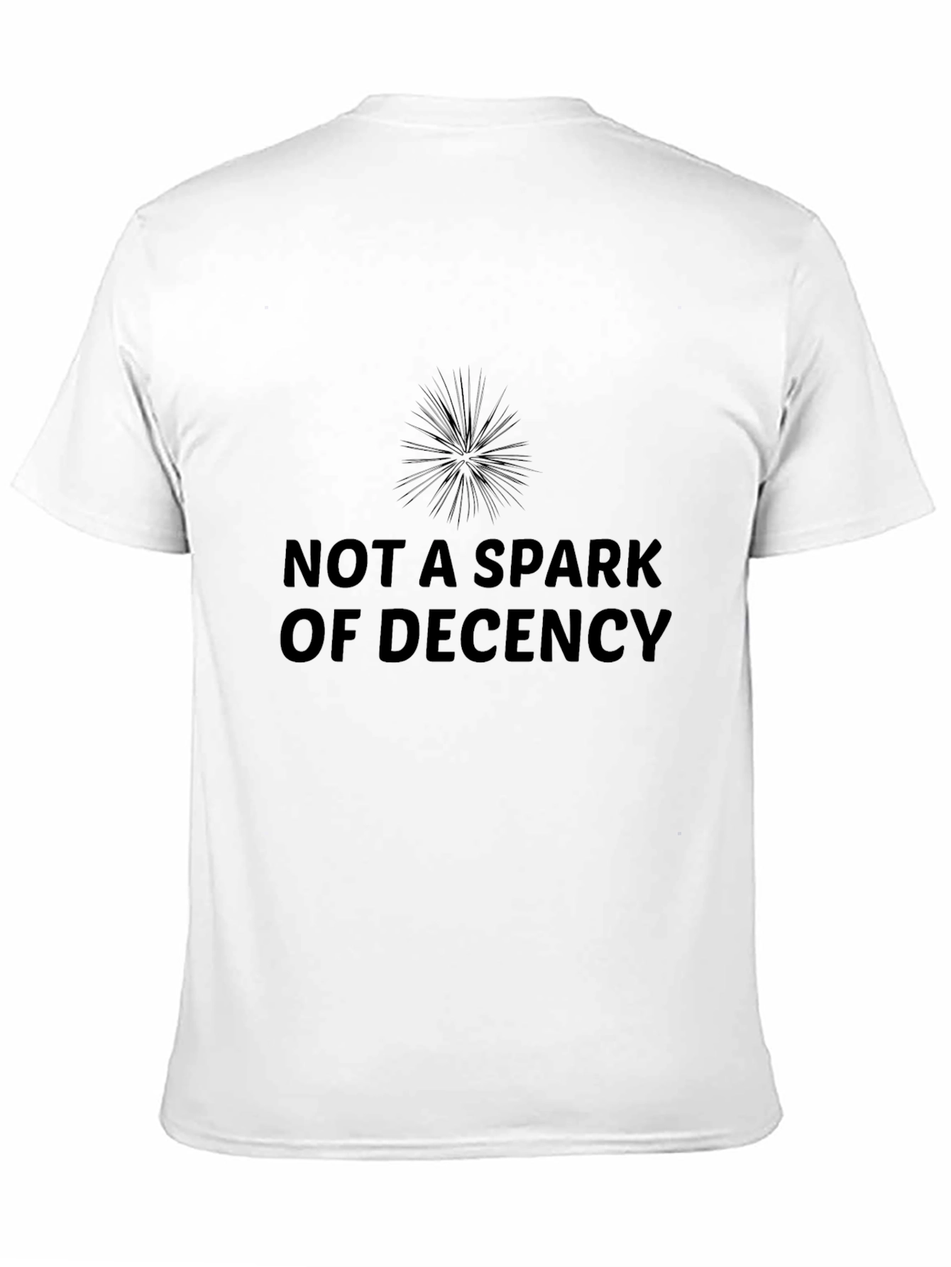 Not A Spark of Decency Black T-Shirt