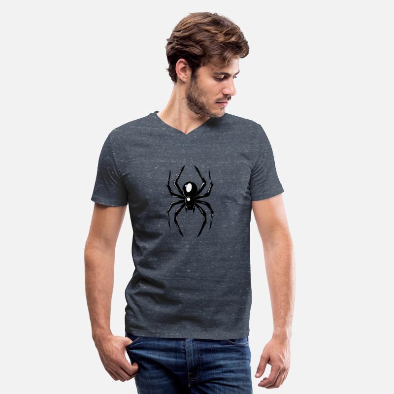 Black Spider With Glossy Legs