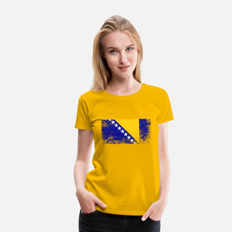 Bosnia And Herzegovina National Flag