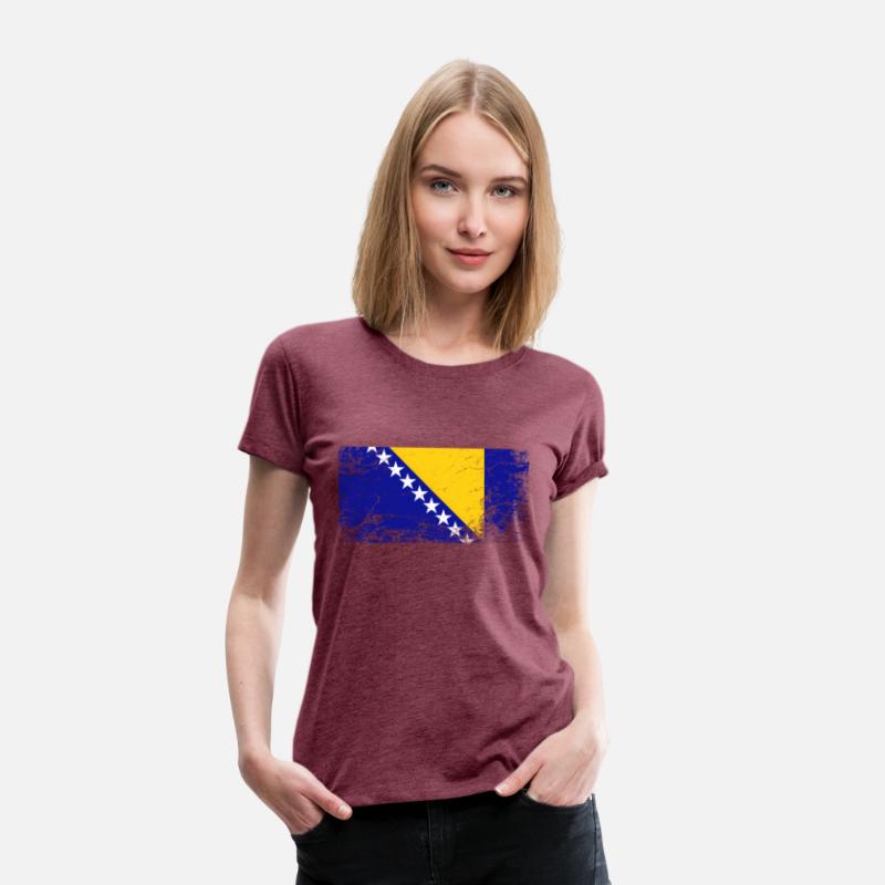 Bosnia And Herzegovina National Flag