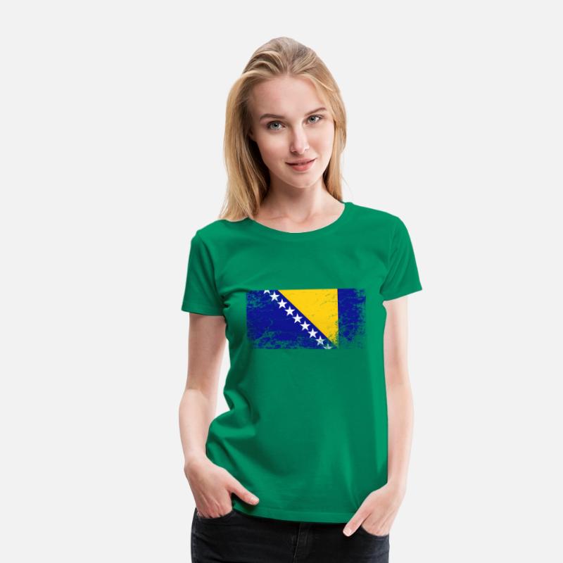 Bosnia And Herzegovina National Flag