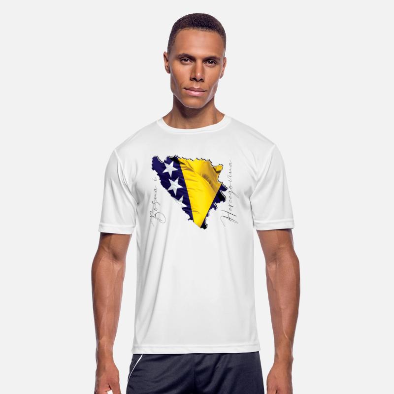 Bosnia Flag in Bosnia Map BA