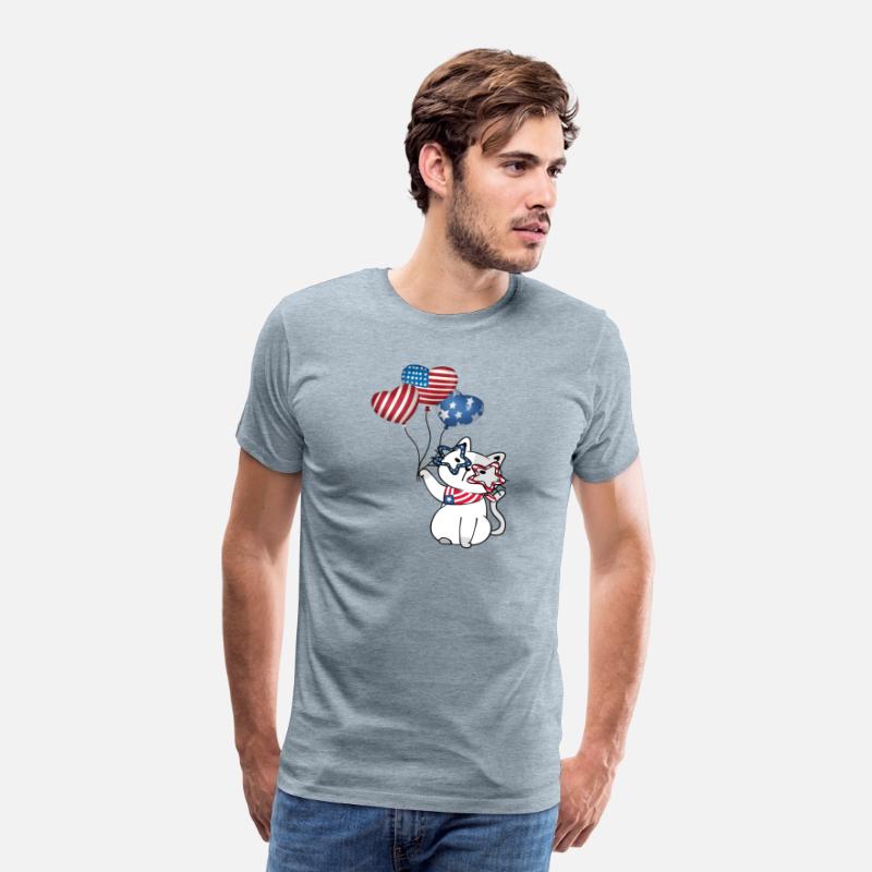 CUTE CAT CELEBRATING FOURTH OF JULY