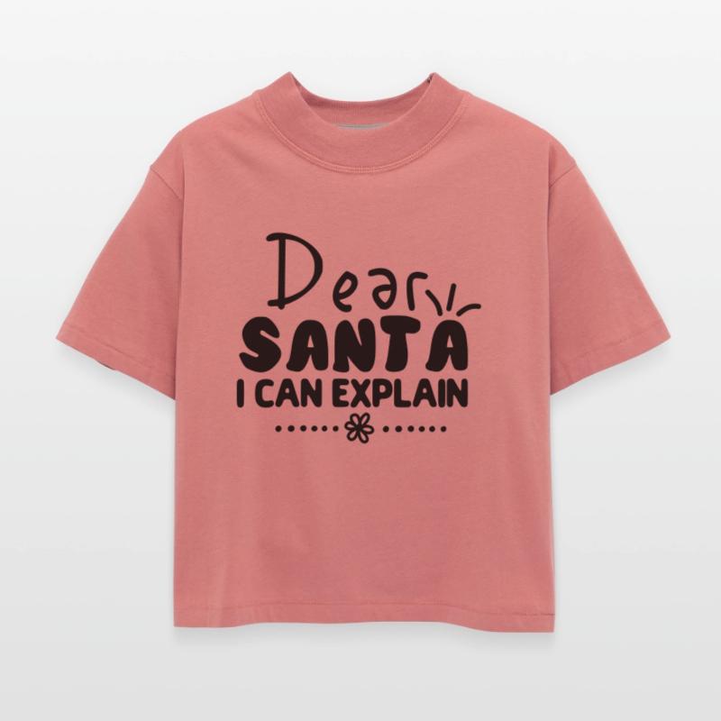 Dear Santa I Can Explain