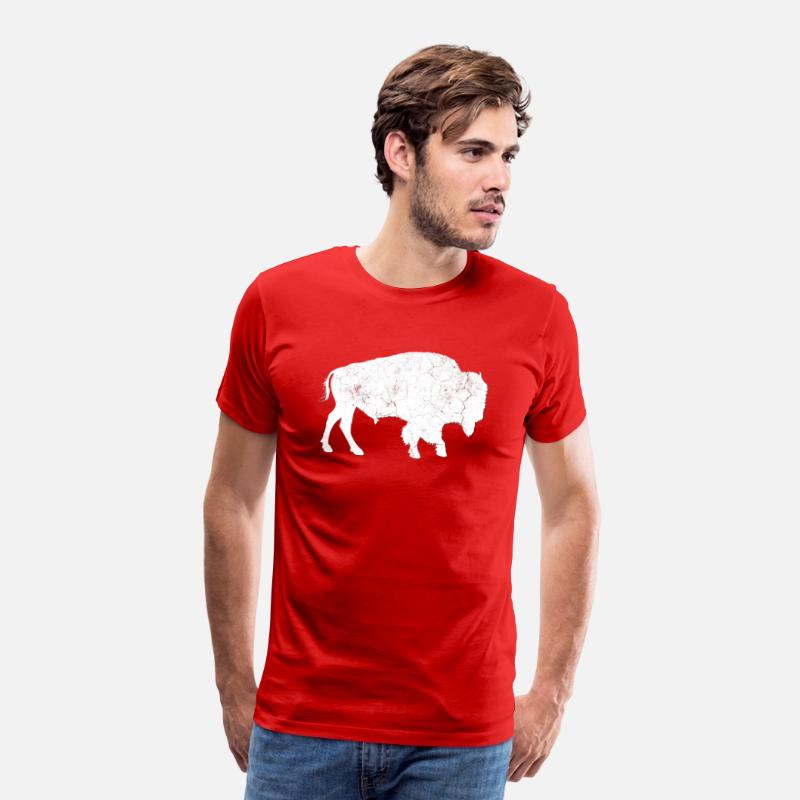 Distressed Buffalo Bison Animal