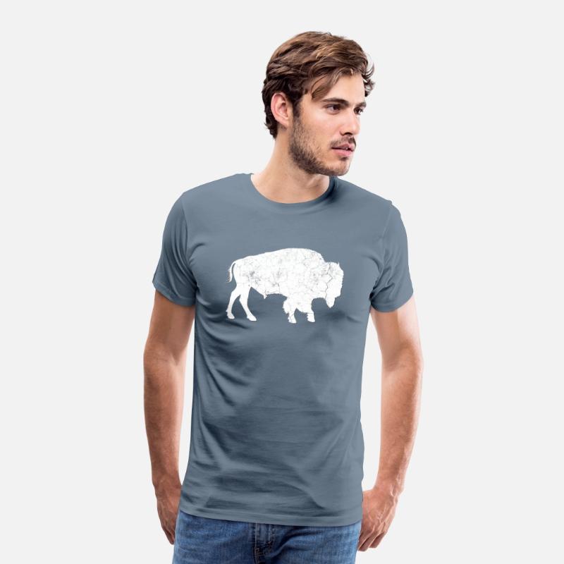 Distressed Buffalo Bison Animal