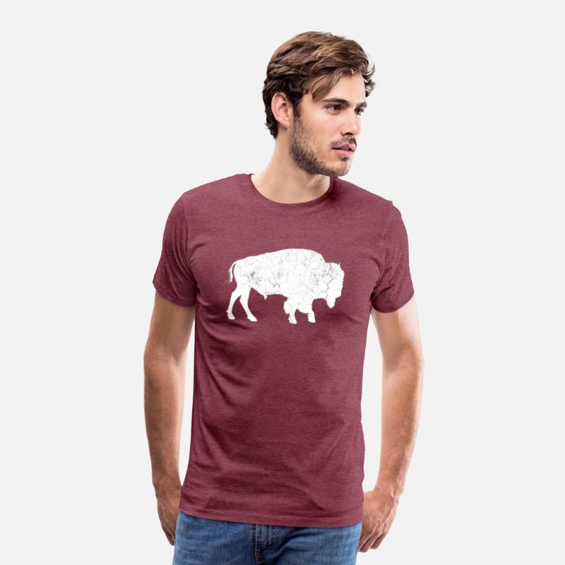 Distressed Buffalo Bison Animal