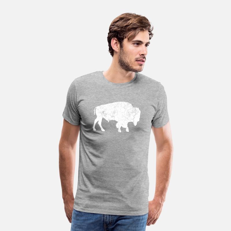 Distressed Buffalo Bison Animal