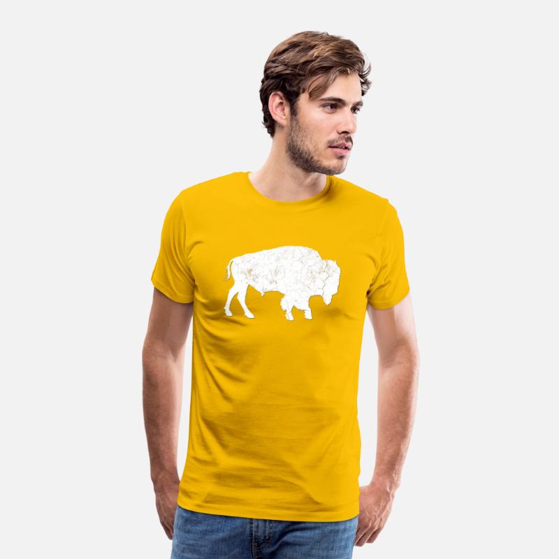 Distressed Buffalo Bison Animal