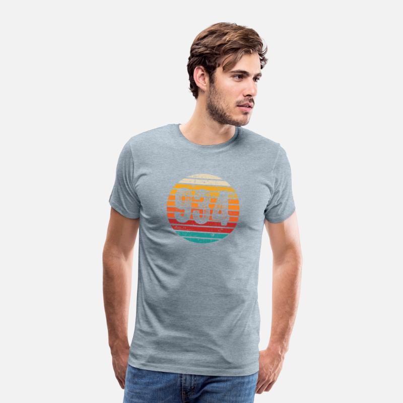 Distressed Vintage Sunset 934 Area Code