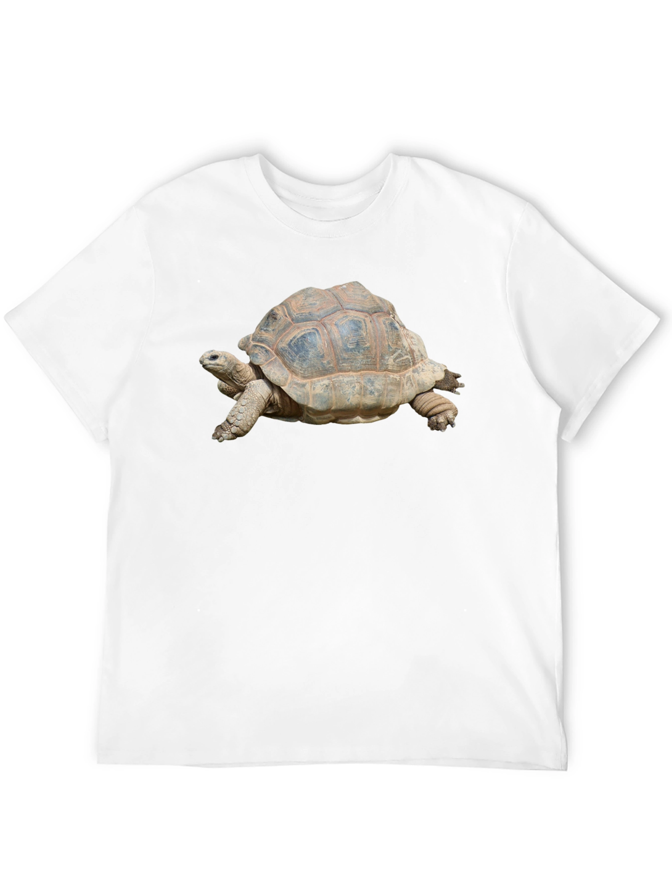 Turtle Graphic T-Shirt - Black Cotton Tee