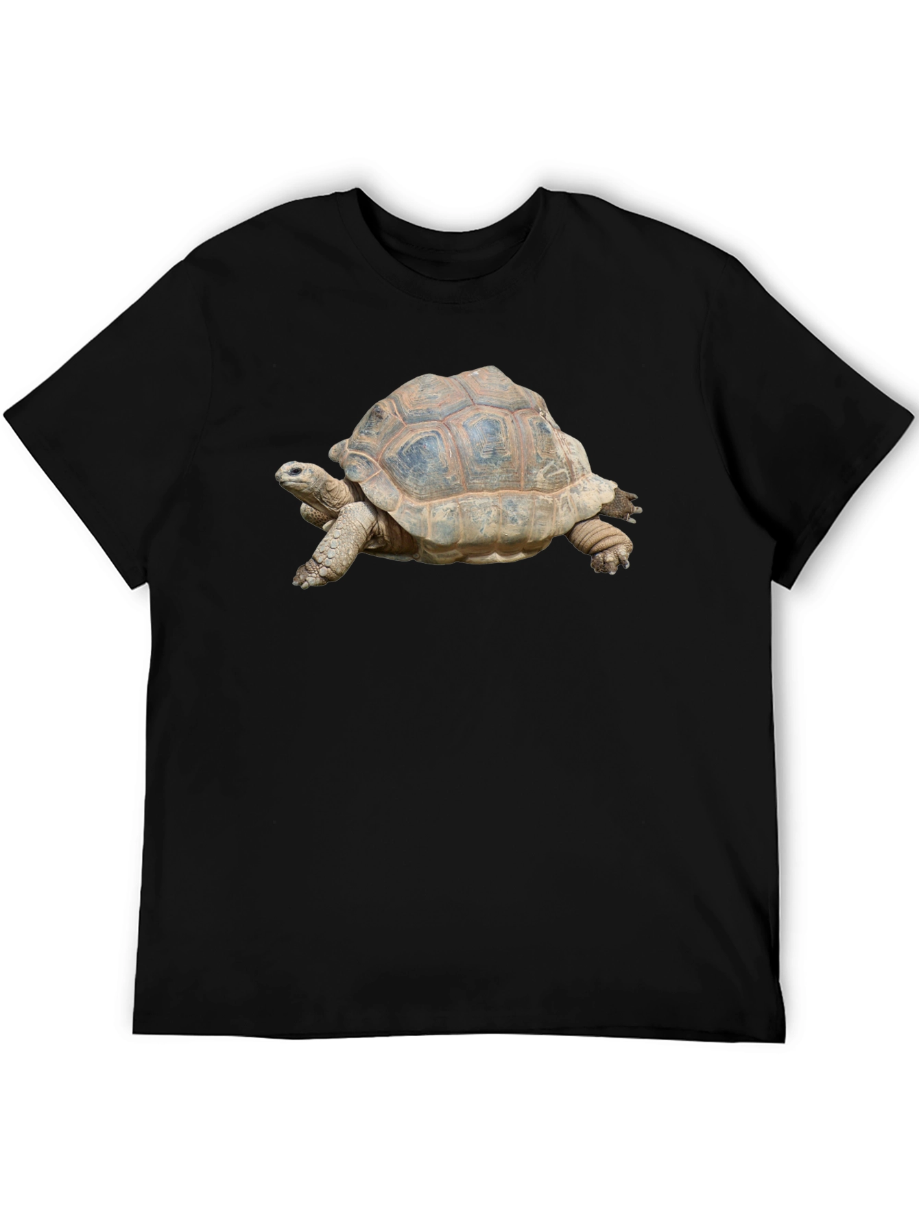 Turtle Graphic T-Shirt - Black Cotton Tee