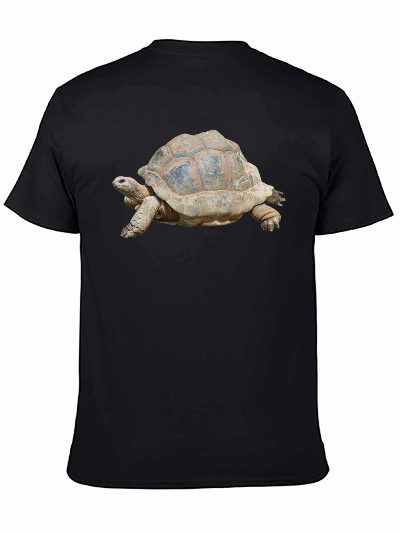 Turtle Graphic T-Shirt - Black Cotton Tee