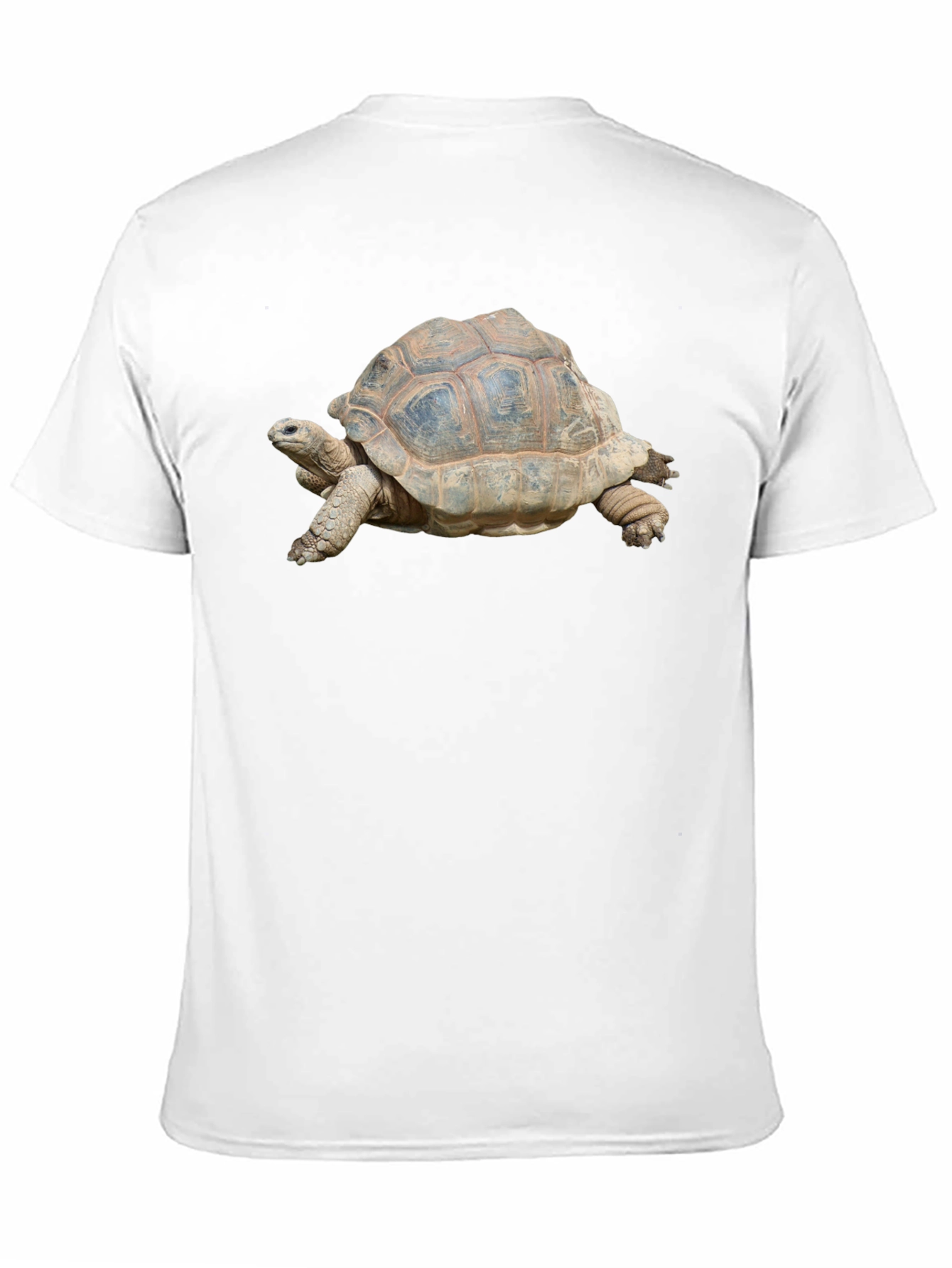 Turtle Graphic T-Shirt - Black Cotton Tee