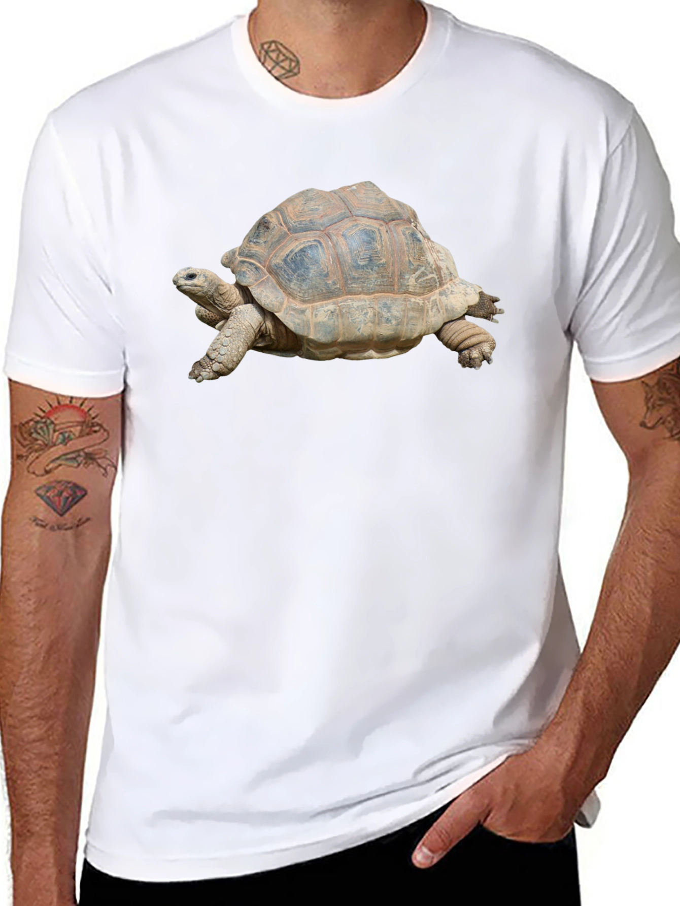 Turtle Graphic T-Shirt - Black Cotton Tee
