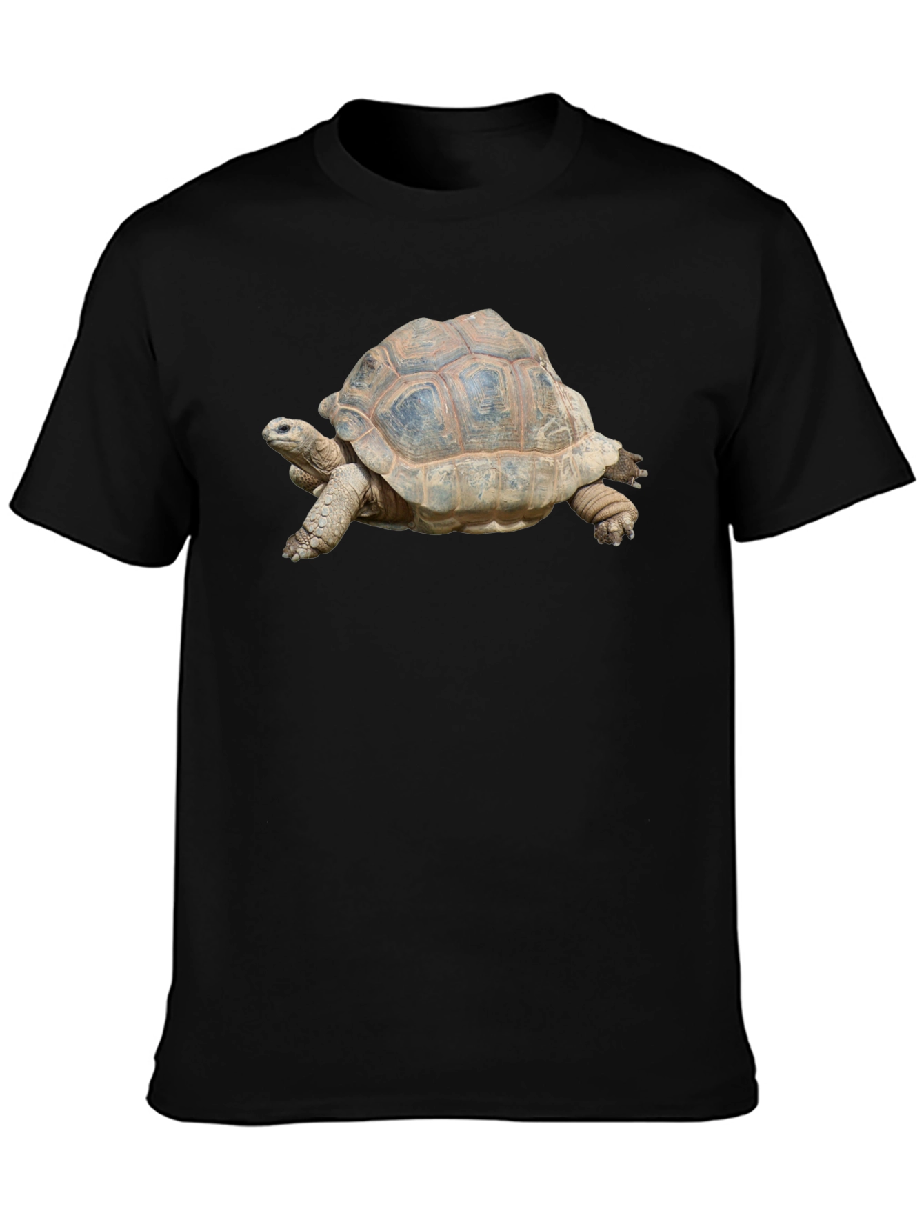 Turtle Graphic T-Shirt - Black Cotton Tee
