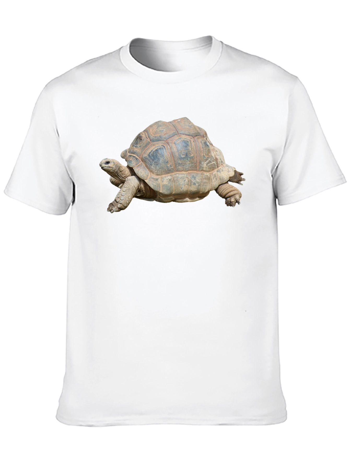 Turtle Graphic T-Shirt - Black Cotton Tee