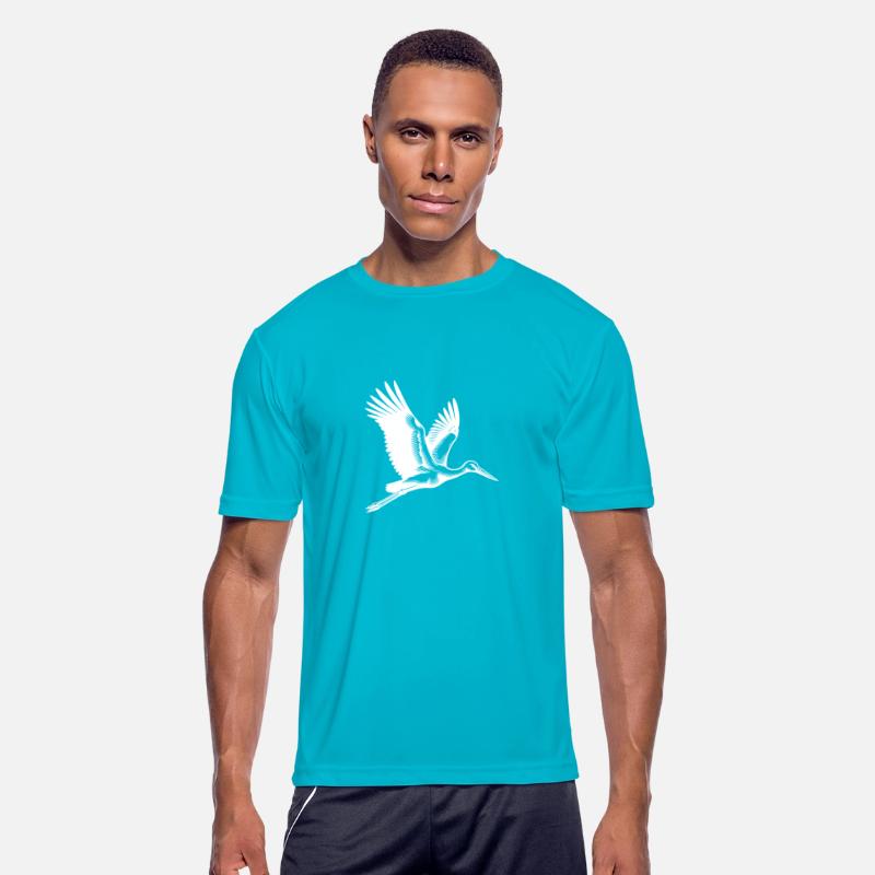 Elegant Flying Stork Bird
