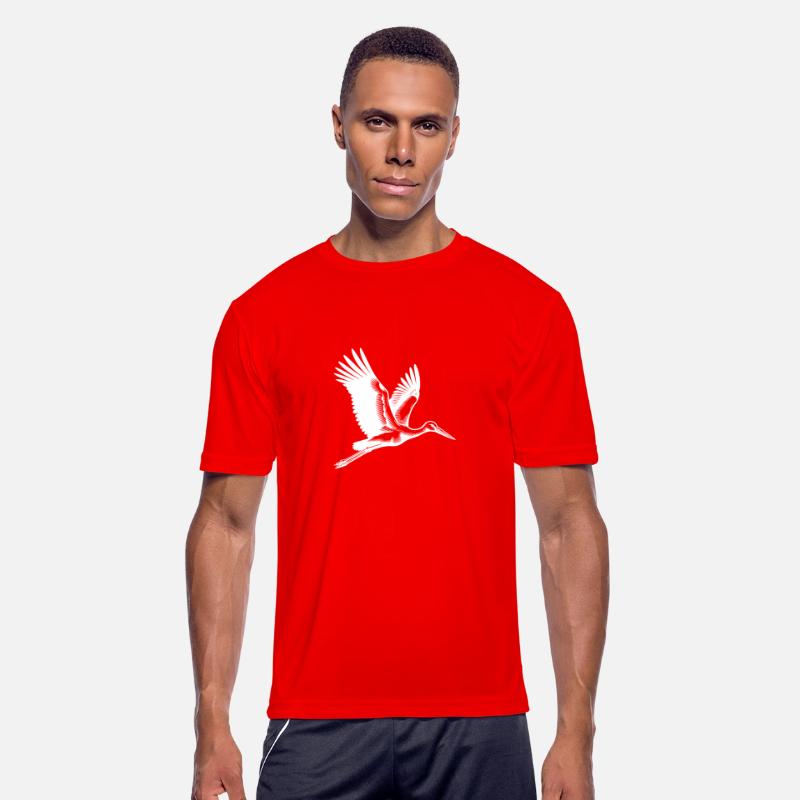 Elegant Flying Stork Bird