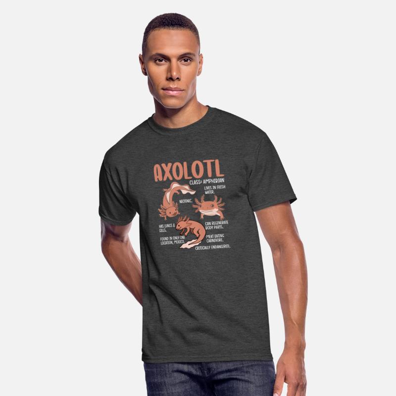 Fascinating Axolotl Facts Design
