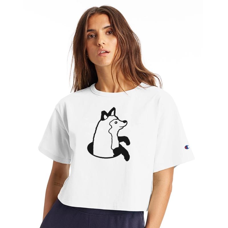 Fox Looks Funny Out Of Ground Hole Happy Cool Cute