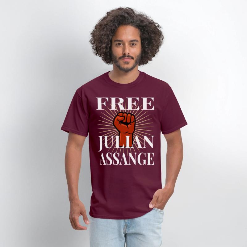 Free Julian Assange Wikileaks