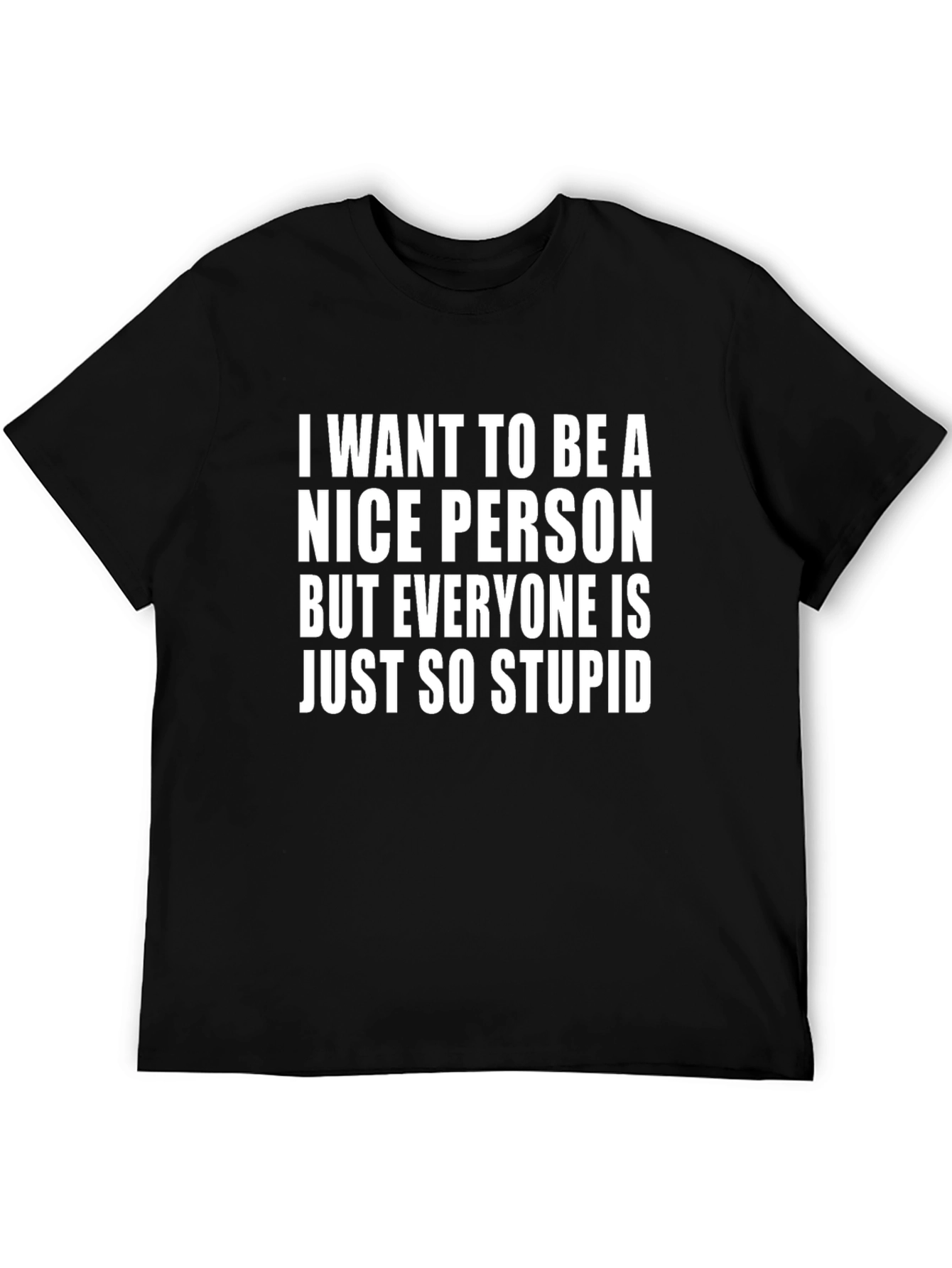 Funny Sarcastic Graphic T-Shirt - Nice Person Stupid Saying