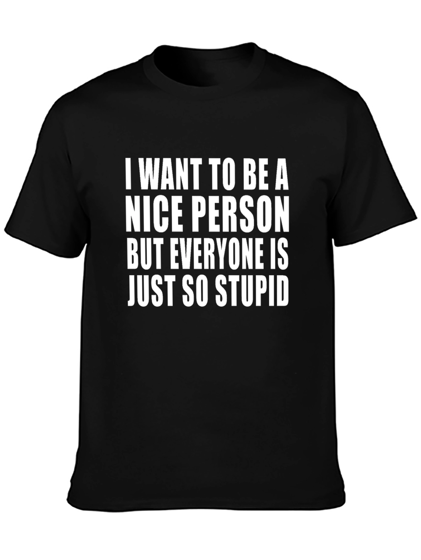 Funny Sarcastic Graphic T-Shirt - Nice Person Stupid Saying