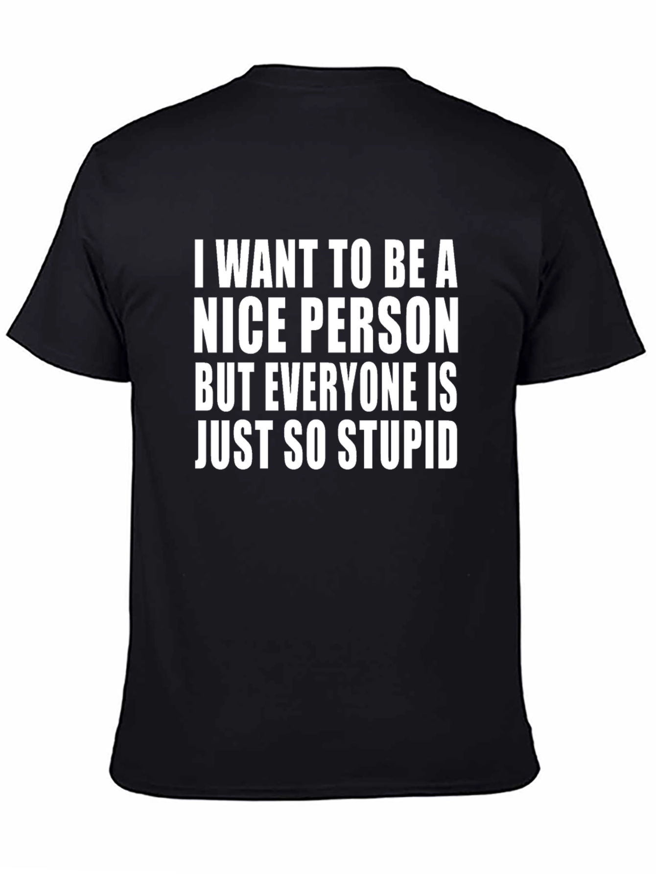 Funny Sarcastic Graphic T-Shirt - Nice Person Stupid Saying