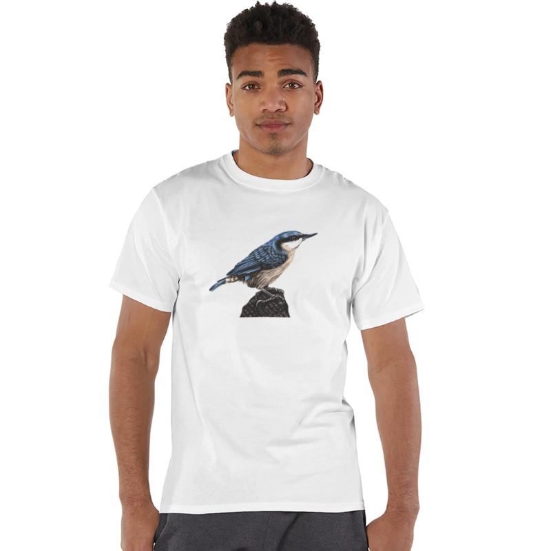 Nuthatch illustration