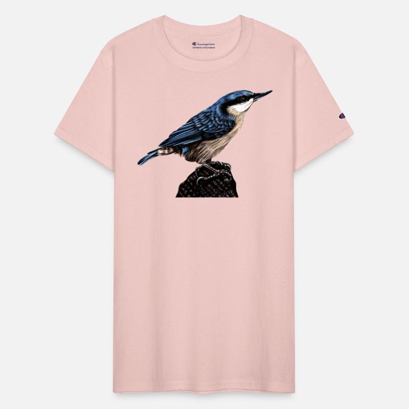Nuthatch illustration