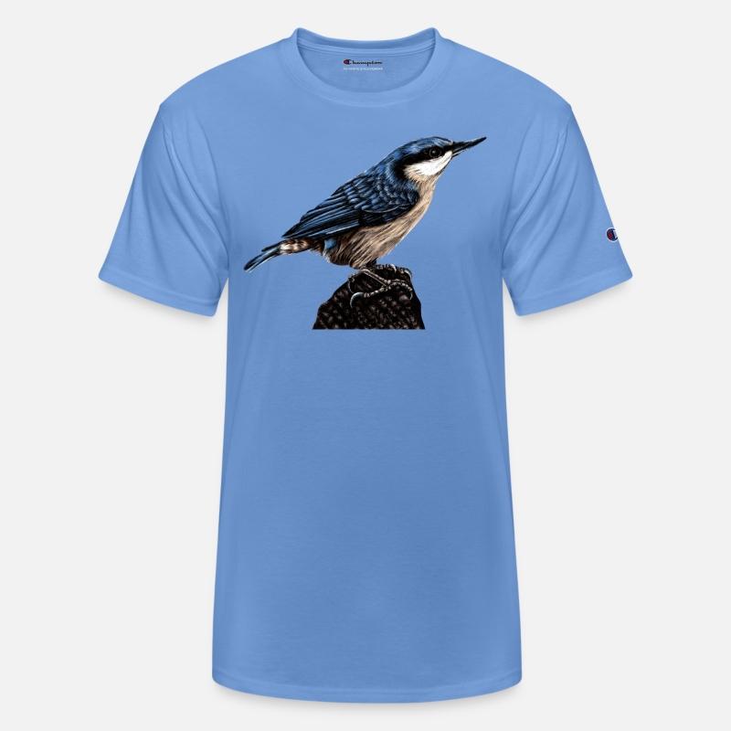 Nuthatch illustration