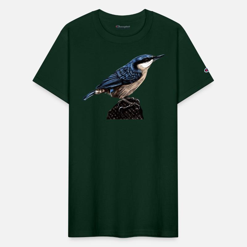 Nuthatch illustration