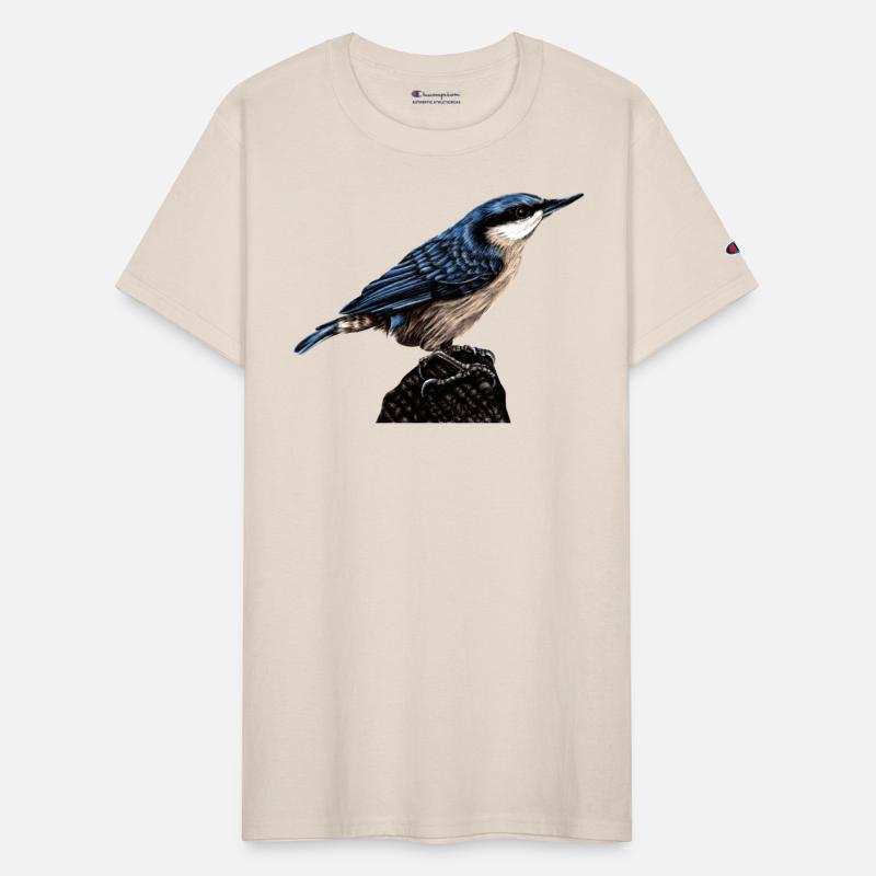 Nuthatch illustration
