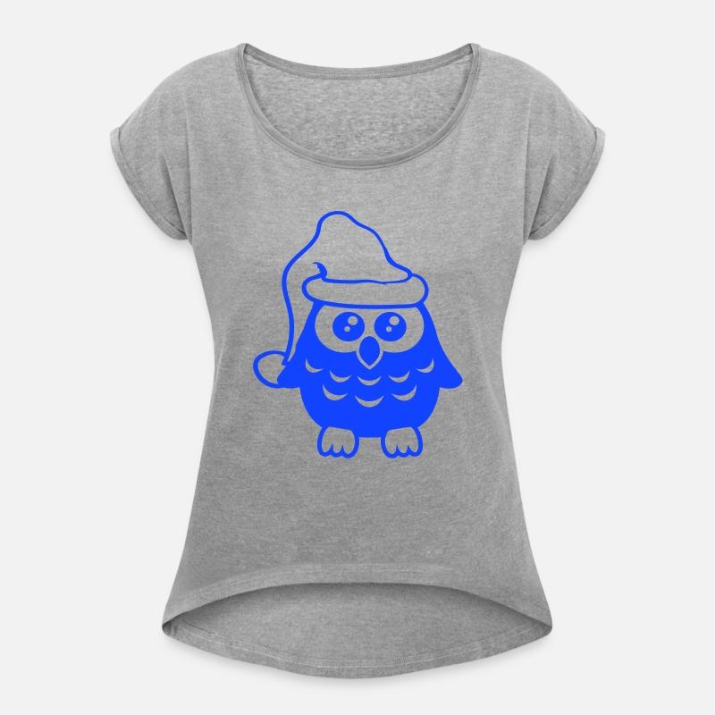 Owl Christmas Santa Claus hat winter Holidays fun