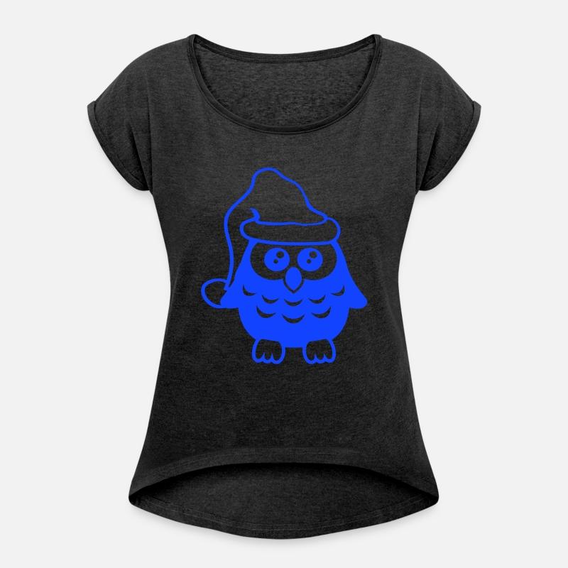 Owl Christmas Santa Claus hat winter Holidays fun
