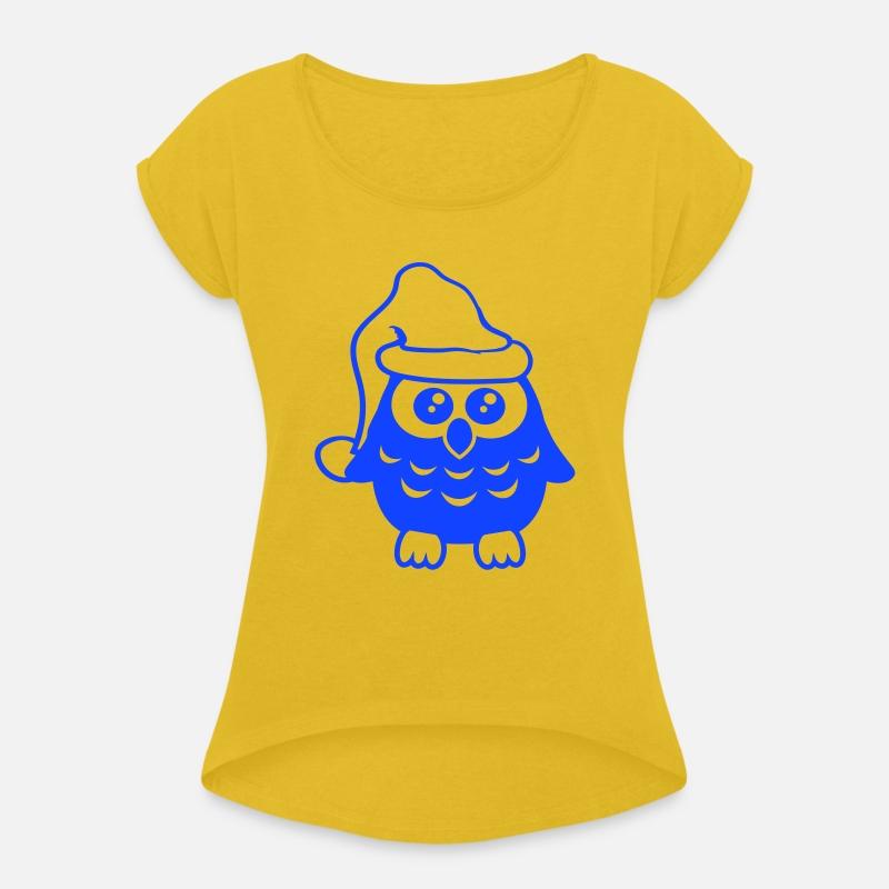 Owl Christmas Santa Claus hat winter Holidays fun